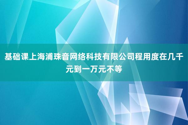基础课上海浦珠音网络科技有限公司程用度在几千元到一万元不等