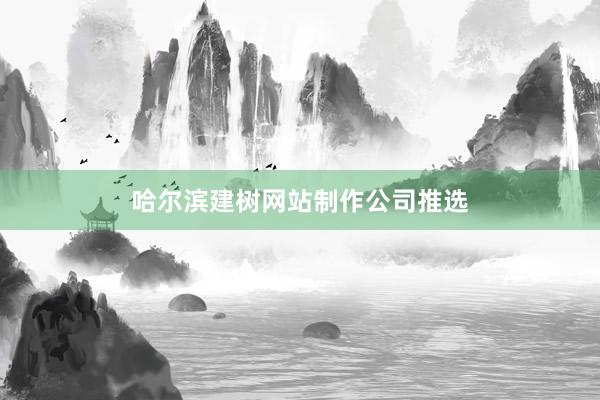 哈尔滨建树网站制作公司推选