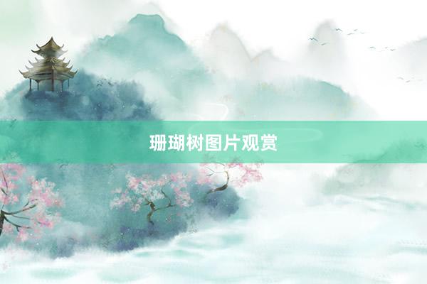 珊瑚树图片观赏