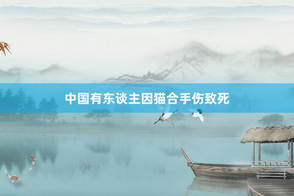 中国有东谈主因猫合手伤致死